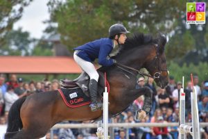 New-Forest 2017 Poney As