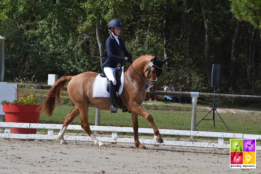 Delyr des Bourdons, IPD 143 sous la selle de Jade Leborgne - ph. Pauline Bernuchon