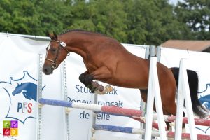 Sologn'Pony National Pfs Poney As