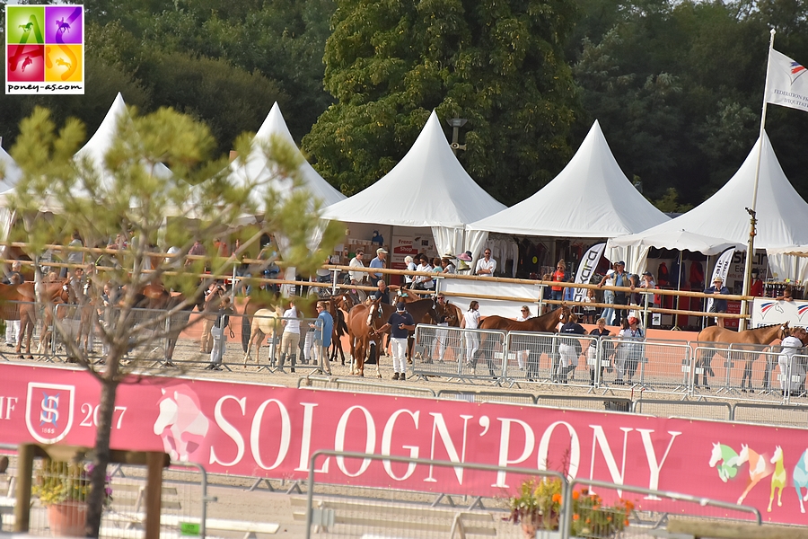 Sologn'Pony 2017 finales SHF CSO Poney As
