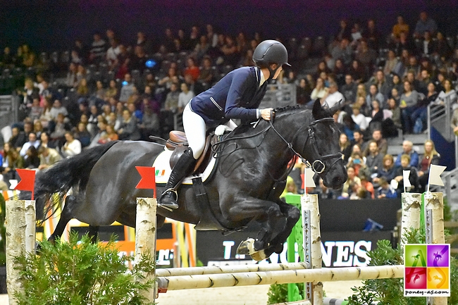 Molly Hughes Bravo Carrickaduff Pet Poney As