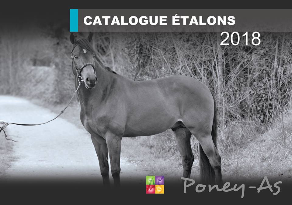 Le Catalogue des étalons Poney As 2018
