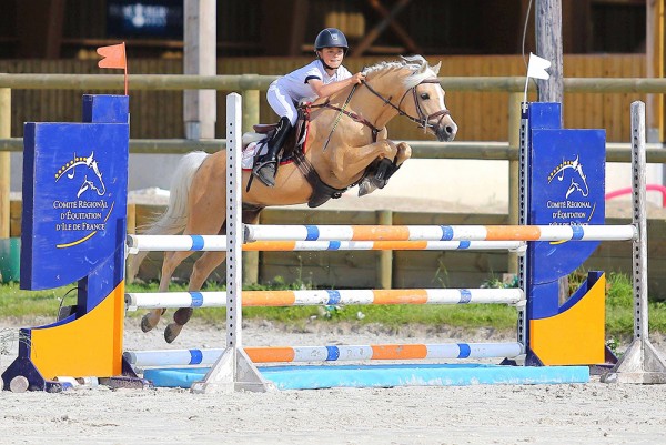 Etalon Poney Sport As 2018