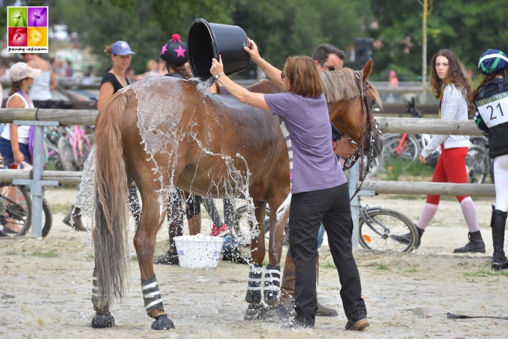 Tournée des As CCE poney