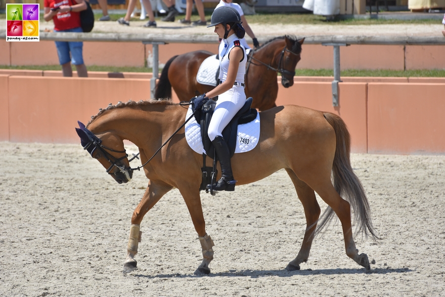 GOF Lamotte Beuvron 2018