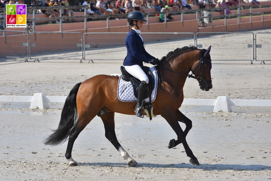 GOF 2018 Lamotte-Beuvron