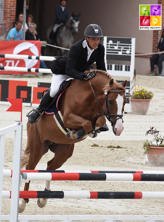 Champion des 6 ans D -Champagne d’Ar Cus associé à Mathieu Laisney - ph. Poney As