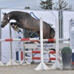 National Pfs 2018 Sologn'Pony