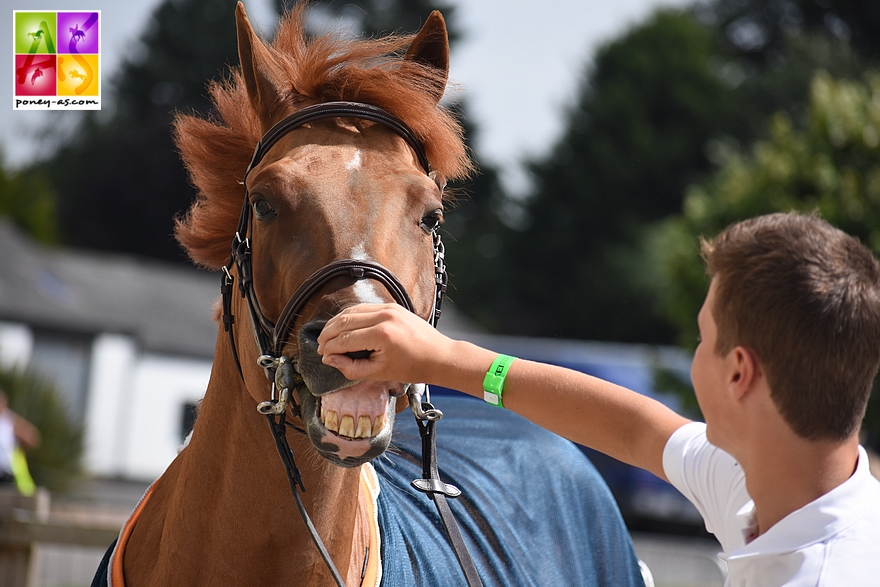 Gilles Nuytens (Bel) et Kamirez van Orchid’s - ph. Poney As