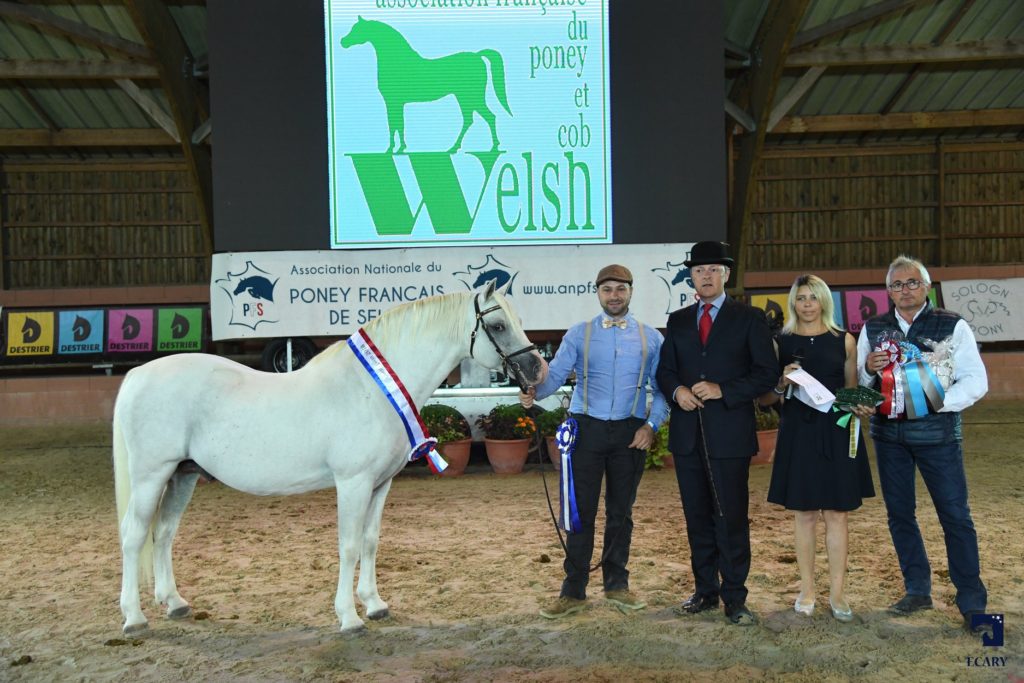 Finale des Champions Welsh Sologn'Pony 2018 Poney As