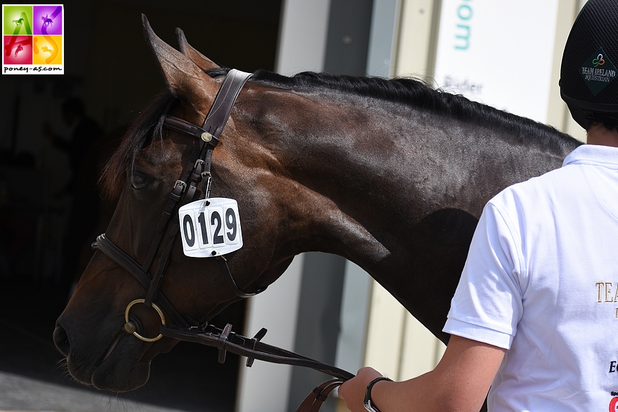 Max Wachman (Irl) et Cuffesgrange Cavalidam - ph. Poney As