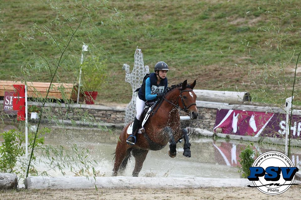 Champion des 4 ans l'an passé, Djem du Casteras associé à Noémie Bosc remporte la finale des 5 ans - ph. PSV