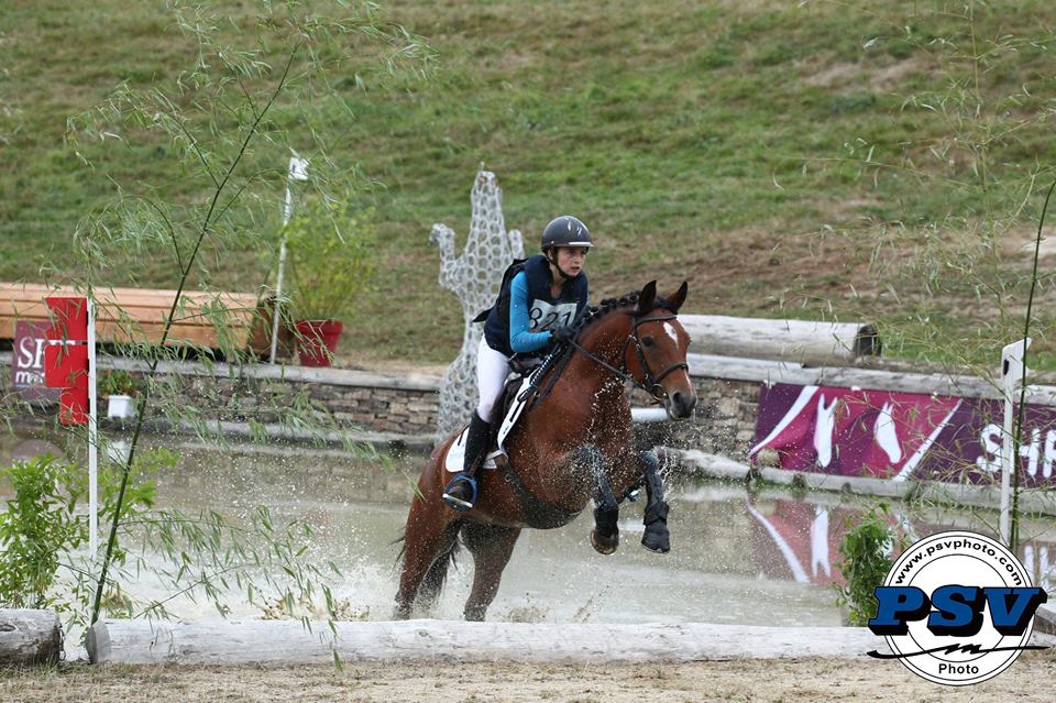 Champion des 4 ans l'an passé, Djem du Casteras associé à Noémie Bosc remporte la finale des 5 ans - ph. PSV 