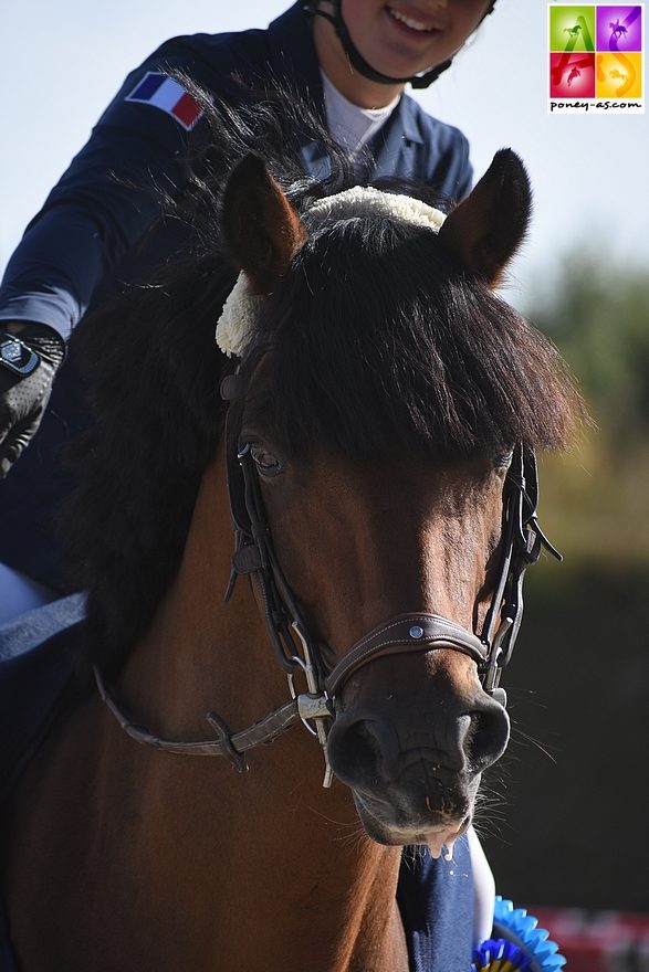 Ushuaia Eliza Modesty, auteur d'un doublé ce week-end - ph. Poney As