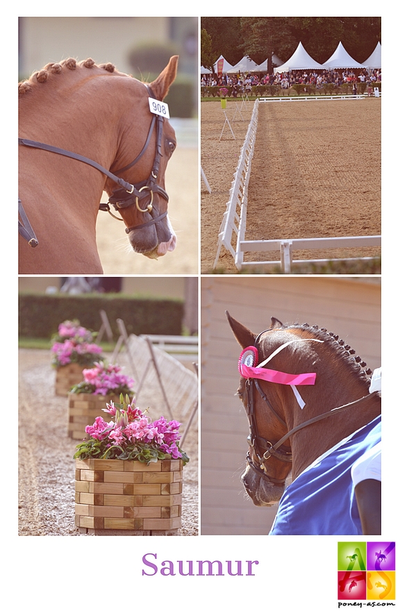 Finales SHF de Dressage 2018 - ph. Poney As