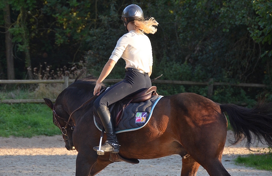 Lisa et O Ma Doué à l'entrainement sous leurs nouvelles couleurs Poney As - ph. coll. privée