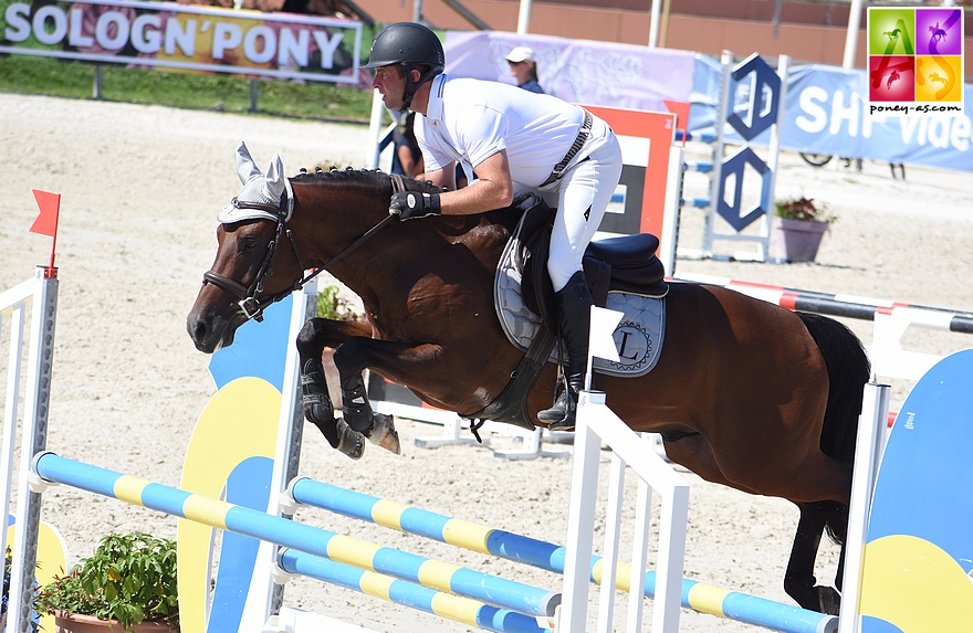 Kasper’s Ronaldo est l'un des 14 mâles présentés à l'approbation des étalons Pfs - ph. Poney As