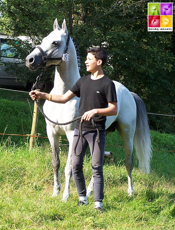 A Freudenberg en 2007. Marc Braccagni nous présentait Jimmerdor avant le début du championnat d'Europe - ph. Poney As