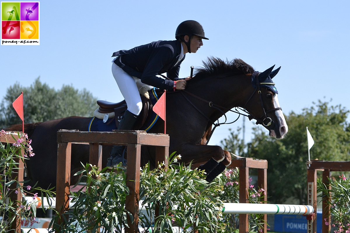 La Luna et Philip Carey (Swe) aux championnats d'Europe d'Arezzo en 2013 - ph. Poney As