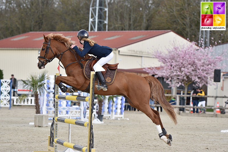 Junie Buisson et Vertige de Bélébat remportent une victoire de taille, le Grand Prix du CSIP de Fontainebleau ! - ph. Marine Delie