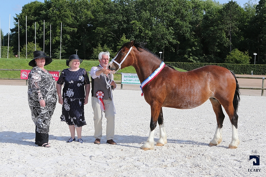 La Réserve championne Suprême Llwynhywel Super Lady - ph. Agence Ecary