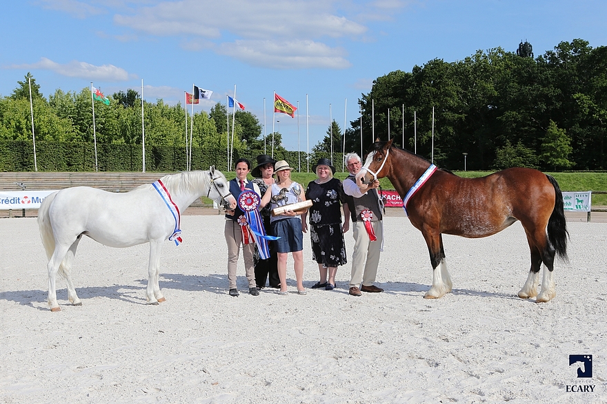 Stougjeshoeve Emily et Llwynhywel Super Lady - ph. Agence Ecary