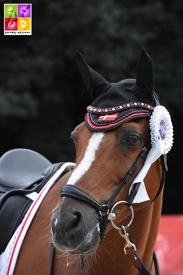 L'équipe Danoise, fabuleuse cette saison, concrétise aux championnats d'Europe - ph. Poney As