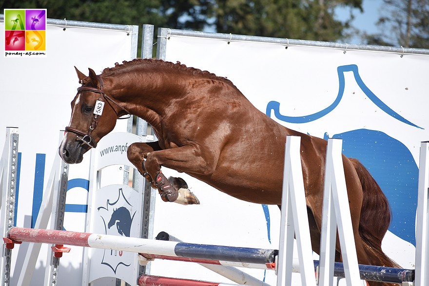 Guns N' Roses Neottia - ph. Poney As