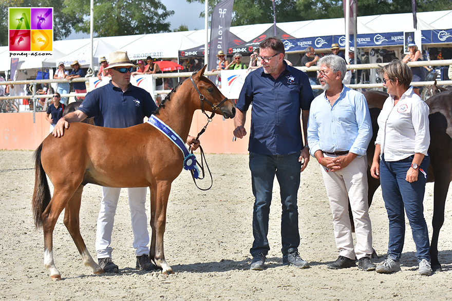 Jaïpur le Courtal - ph. Poney As