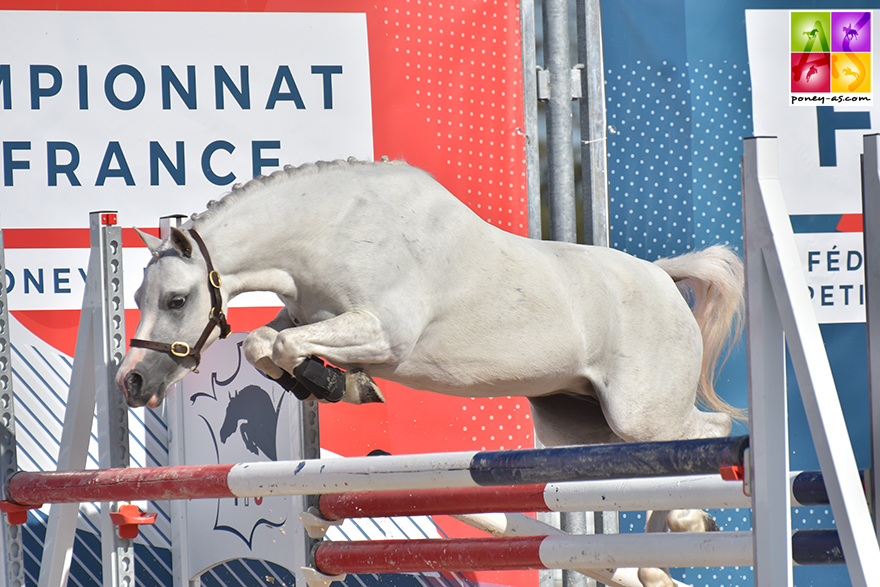 Du Granit Tinkerbell, championne des 3 ans Sport FPPCF - ph. Poney As