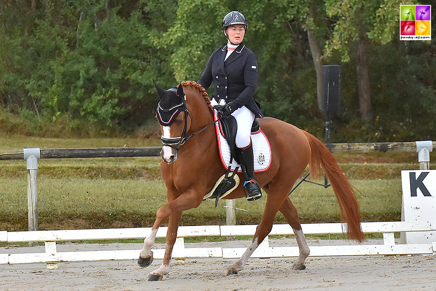 Global Challenge du Hans et Sonia Yvelin - ph. Poney As