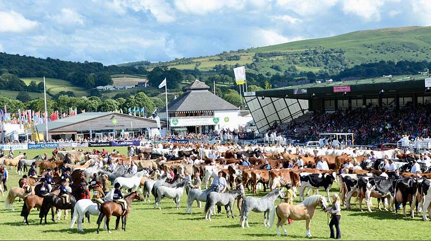 Le Royal Welsh Show fêtait cette année sa 100e édition – ph. coll. Equinepix