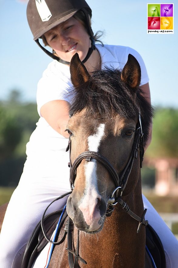 Silverlea High Five est approuvé étalon - ph. Poney As