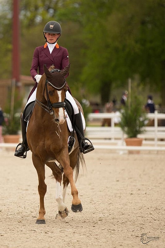 Alizée Roussel présente ici Don Amour de Hus lors du Grand National Jardy en 2019 – ph. One Shot Pic