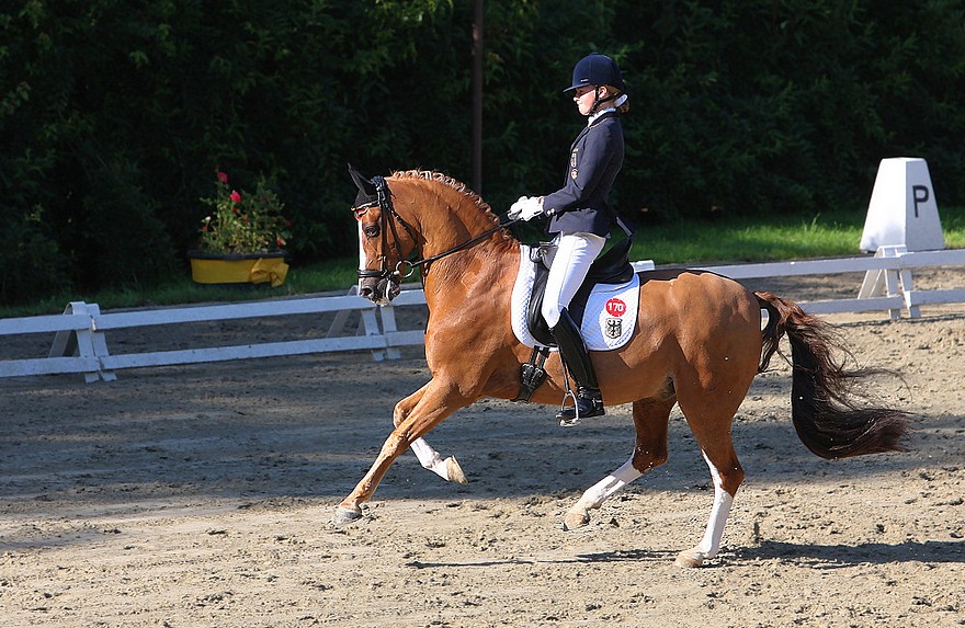 Championnats d'Europe de Freudenberg 2007 - Sanneke Rothenberger et Konrad - ph. pbase.com