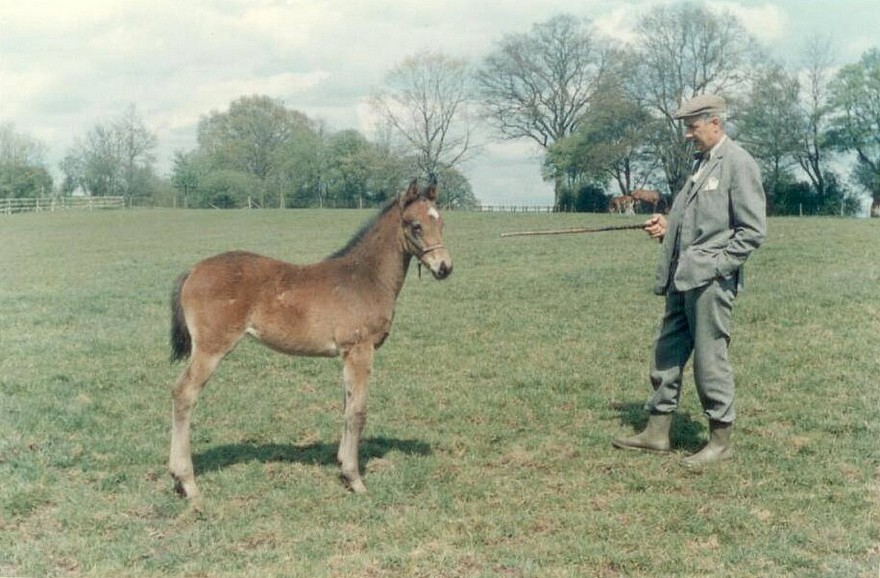 L'éleveur Claude Guerlain - ph. coll. privée