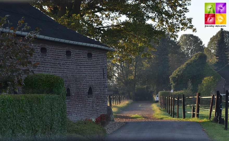 La ferme familiale de Tönisvorst, située près de Düsseldorf - ph. Poney As