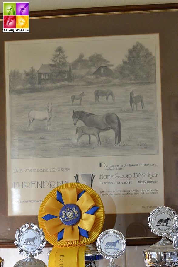 Toutes disciplines confondues, l'élevage de poneys de Hans-Georg Bönniger est le meilleur de tous les temps - ph. Poney As