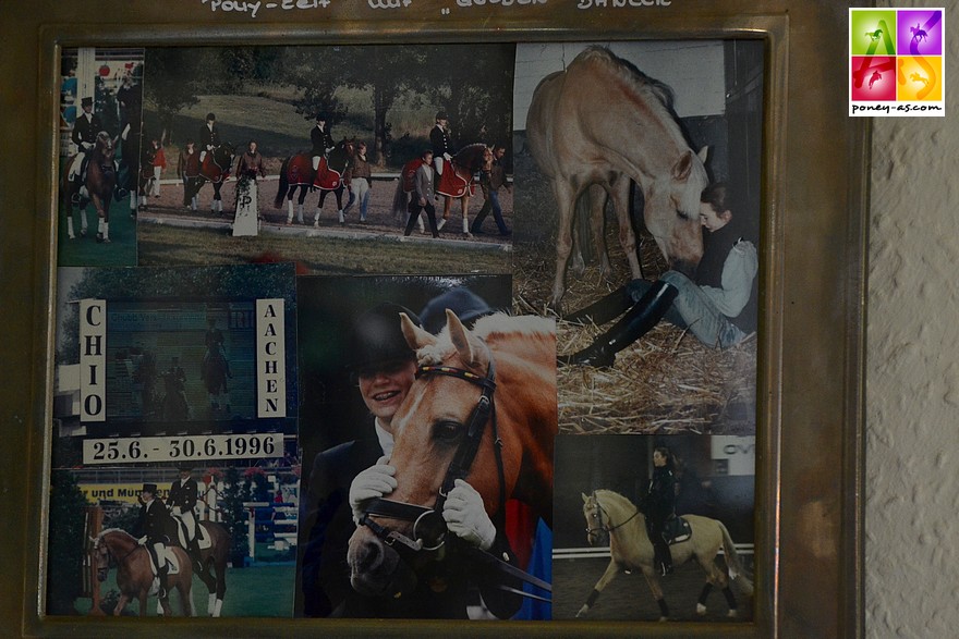 L'entente entre Golden Dancer et la jeune Jana Kun était parfaite. Avec cette talentueuse cavalière, l'étalon a connu ses plus belles victoires dont la double médaille d'or aux championnats d'Europe en 1996 - ph. Poney As