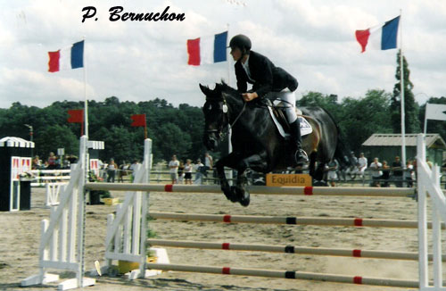 Pierre-Alain Mortier et Chaveta II lors des championnats de France Grand Prix Elite à Lamotte-Beuvron. Ils terminent médaillés d’argent. Quelques jours plus trad, ils sont 5e de la finale individuelle des championnats d’Europe de Vejer de la Frontera – ph. Poney As