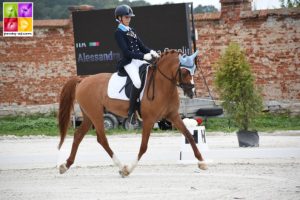 Derano B et l’Italienne Lisa Caroline Kathy Alessandra Bartz lors des championnats d’Europe de Strzegom en 2019 – ph. Poney As
