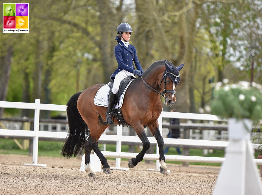 D’entrée de jeu très performants, Maé Rinaldi et Boston du Verdon prennent la tête de l’épreuve de dressage de la TDA de Pompadour – ph. Marine Delie