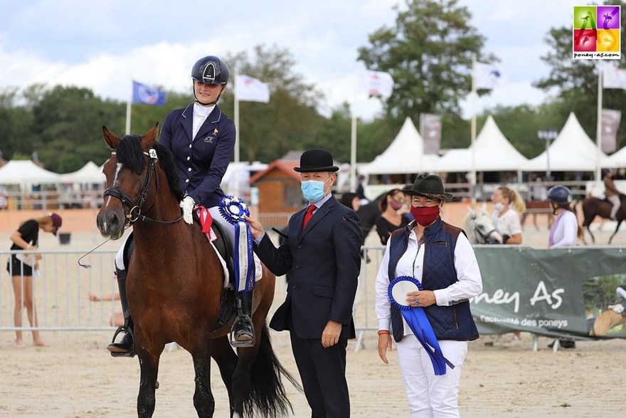 L'étalon Welsh Cob Swyn Barrade est sacré champion Suprême - ph. Judith's Art