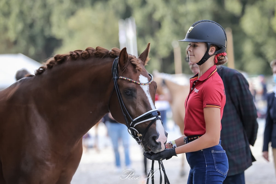 Antonia Roth et Daily Pleasure WE prennent la tête de la reprise Equipe et permettent à la Mannschaft, tout comme Shona Benner et Der Kleine Sunnyboy WE classés 2e, de se positionner au rang de leader avec une belle avance – ph. Rose Harang