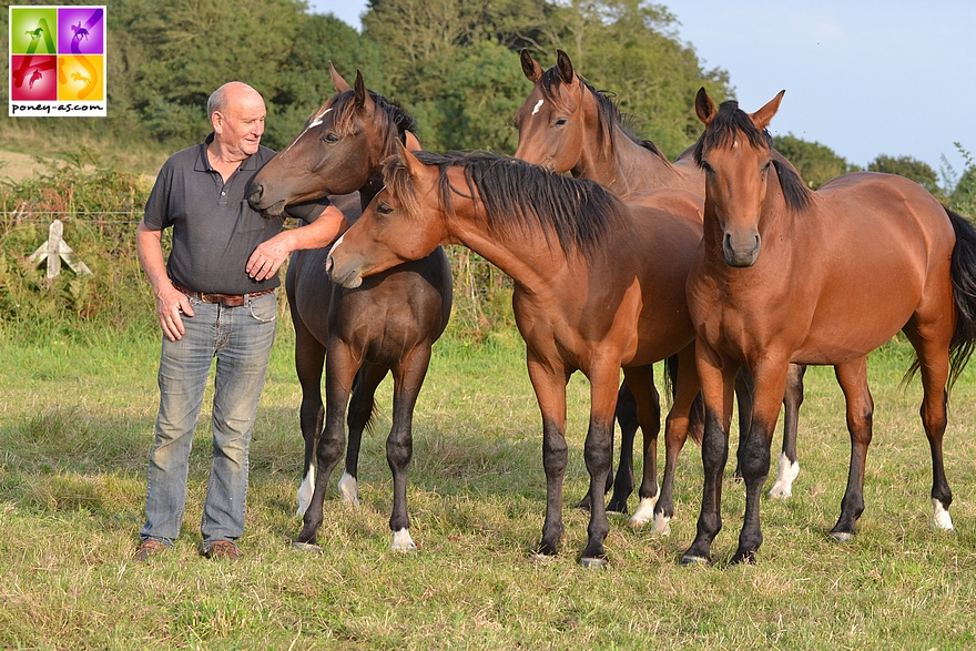 André Magdelaine et ses chevaux, chez lui, à Tréauville dans la Manche - ph. Poney As