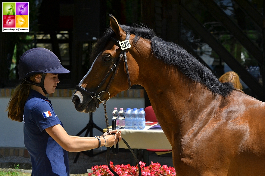 Charlotte présente Quabar à l'équipe des vétérinaires lors des championnats d'Europe de Kaposvàr en Hongrie. Nous sommes en 2017 - ph. Poney As