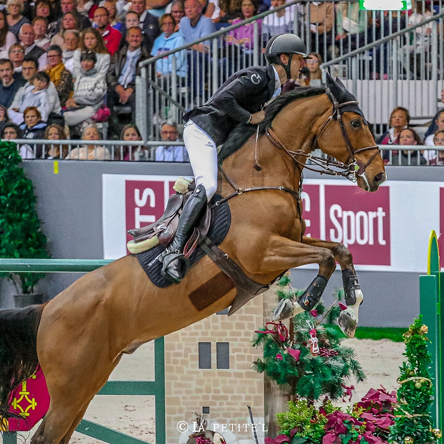 Pieter Devos et Espoir dans le Rolex Grand Prix du CSI 5* du CHI de Genève où ils terminent 8e, sans-faute en première manche puis 4 points au barrage – ph. La Petite’L / Léa Tchilinguirian