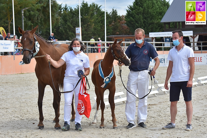 Le foal Kif Rislois, né chez Gwenola et Arnaud Bonvalet, remporte le titre de champion de France des mâles Pfs – ph. Poney As