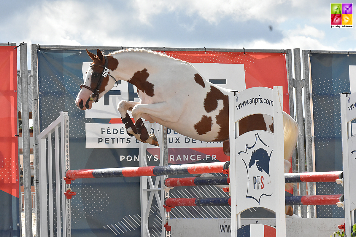 Hors Série de Buterne - ph. Poney As