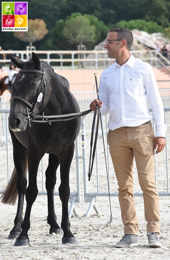 Hermes de Bedou - ph. Poney As